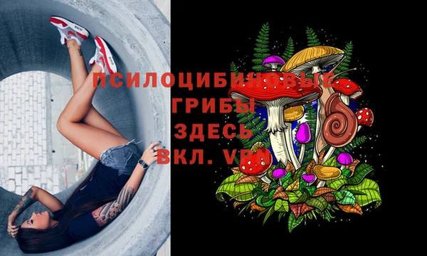 СК Красноперекопск