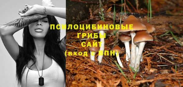 стаф Няндома