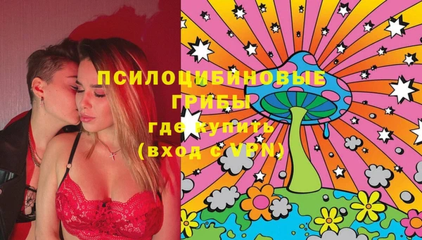 PSILOCYBIN Нягань