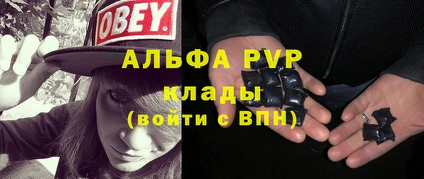 амф Кулебаки
