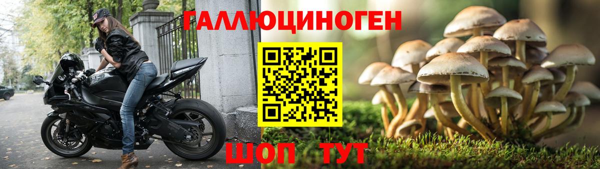 Псилоцибиновые грибы ЛСД  Вход с VPN  Муром 