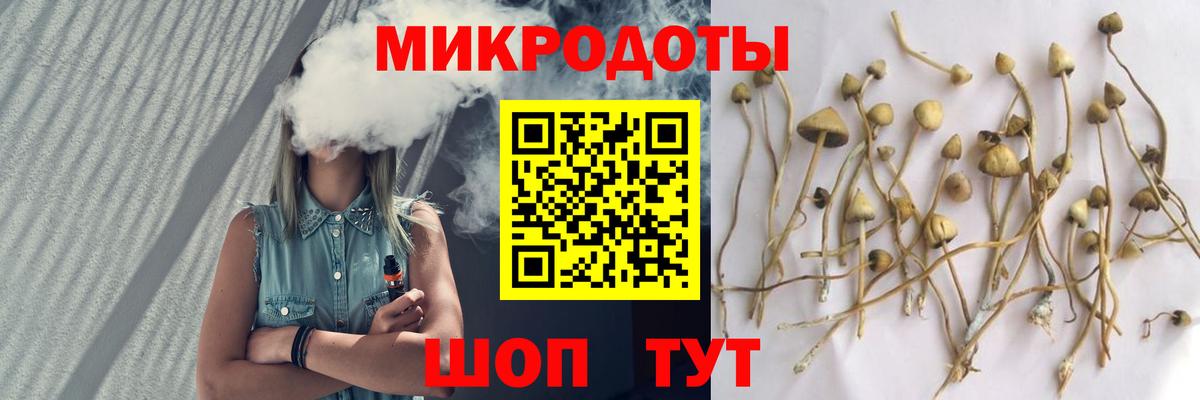 Псилоцибиновые грибы MAGIC MUSHROOMS Муром